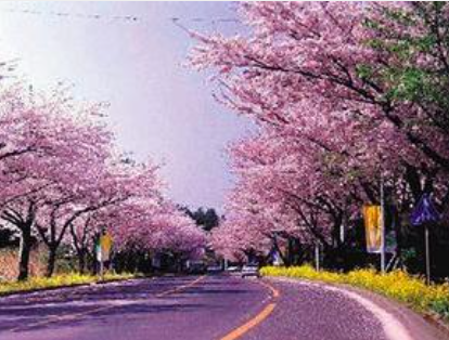 Z(y)g˾ Japanese