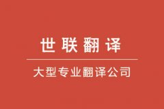 (lin)g˾^(gun)죺2017ȫ˹ܷgl(f)չM(jn)
