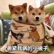 (lin)g˾ (tng)f(shu)90ȱX(ju)ゃϲ˯X(ju)ʲô