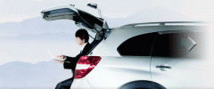 (lin)g˾ɽbތ(zhun)I(y)I(lng)Ӣķg
