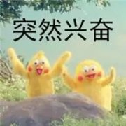(lin)g-_(ki)ɌMЇ˸X(qin)ʲô